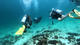 Divemaster Course