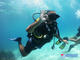 Try Dive