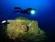 Fun Dive in "River Gurara" Wreck at Haliotis Sesimbra