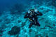 Double Fun Dive in Cenote "Chikin Ha" with Medusas Dive