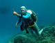 Double Fun Dive in the Red Sea