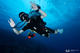 Fun Dive at Deep Divers