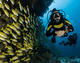 Fun Dive with equipment at Petro Divers Mallorca