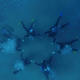 Open Water Diver Course