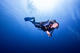 Try Dive