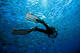 Pack 6 dives with equipment included