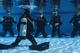 PADI Open Water Diver course in Playa del Carmen