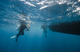 Try Dive