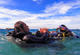 Rescue Diver + EFR Course