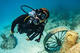 Divemaster Course