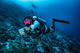 Perfect Buoyancy Specialty 