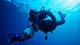 Double Fun Dive in "Ambrósio" at Haliotis Santa Maria