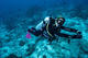 Double Dive in Cenotes (Dos Ojos and The Pit) with Medusas Dive