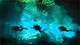 Double Dive in Cenotes (Garden of Eden and Tajma Ha) with Medusas Dive