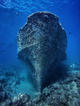 Advanced Open Water Diver Course