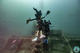 Diving in the Thistlegorm