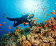 Initiation Dive