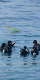 Rescue Diver in Azores