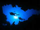Night Dive Punta Cana