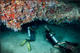 Advanced Open Water Diver + 4 nights