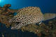Mergui Archipelago 10 nights