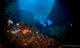 Double Fun Dive at Albatros Diving Mallorca 