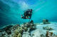 Discover Scuba Diving
