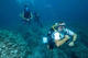 Open Water Diver Course