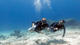 Sidemount Diver Specialty 