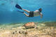 Private Snorkelling Tour - Cielo/Cielito