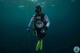 Divemaster Course 