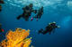 Divemaster Course 