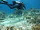 Double Fun Dive from a boat at Epilson Curazao