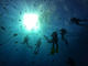 Advanced Open Water Course
