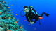 Basic Diver Course SSI
