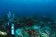 Double Fun Dive with equipment at Buceo Aguadulce