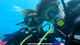 Open Water Course