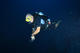 Fun Dive with equipment at Reserva Marina with La Perla Negra