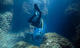 Pack 14 Dives + 3 free at Albatros Diving Mallorca