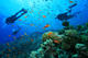 Diving day with 2 dives