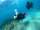 Fun Dive with equipment at Buceo Aguadulce