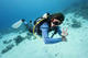 Triple Dive at Cenotes with Be Diving