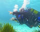 Discover Scuba Diving Premium