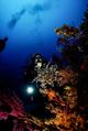 Dive in Marettimo