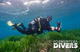 Fun Dive at Formentera Divers 