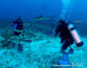 Deep dive + wreck (Bávaro)