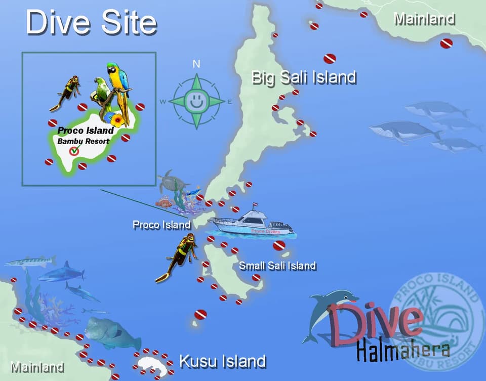 dive-sites-indonesia