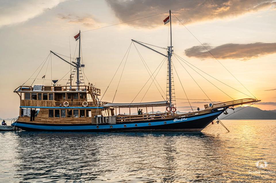 blue-lotus-komodo-buceo