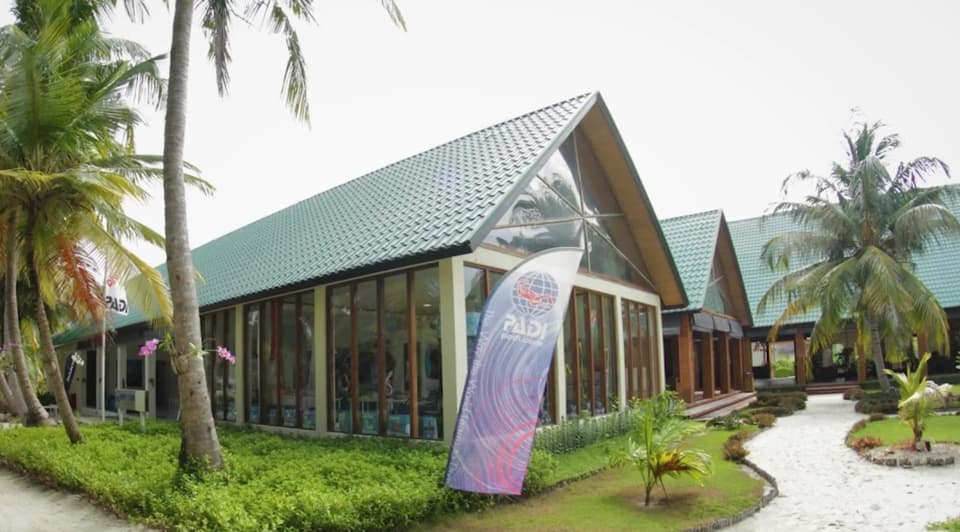 Dive Club Furaveri