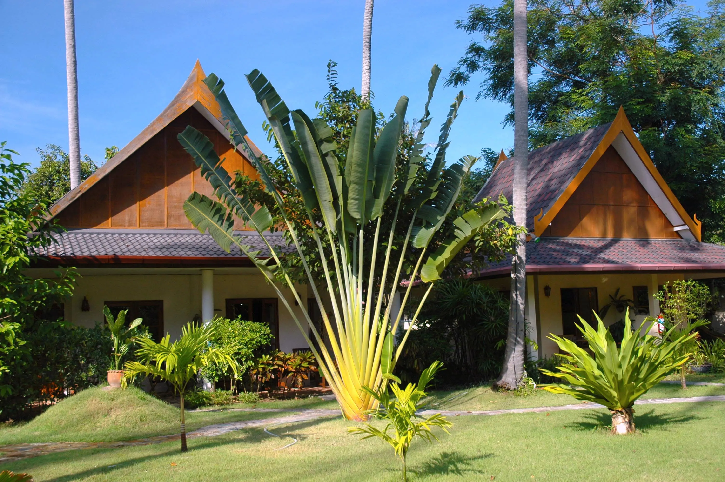 Palm Garden Resort Phuket